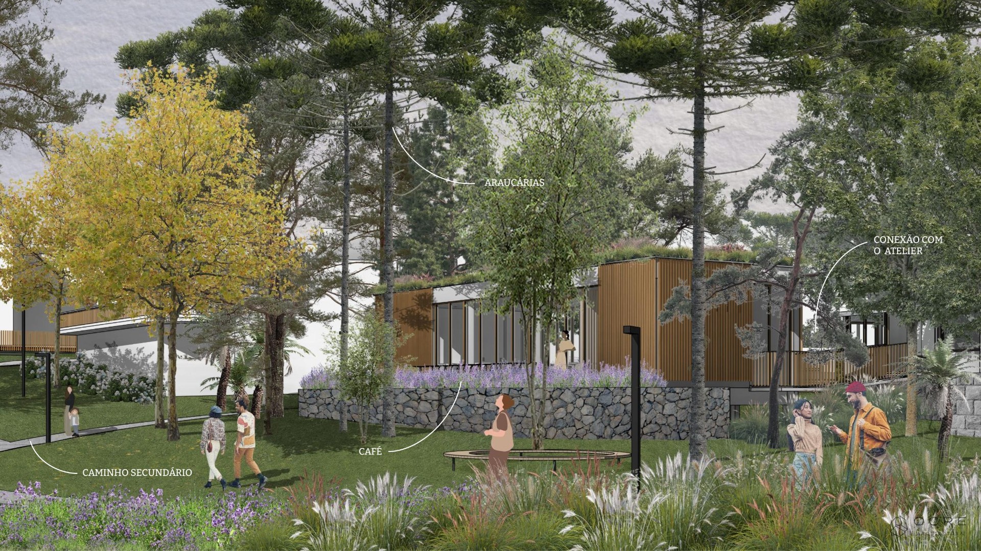 Caminho Sob as Árvores